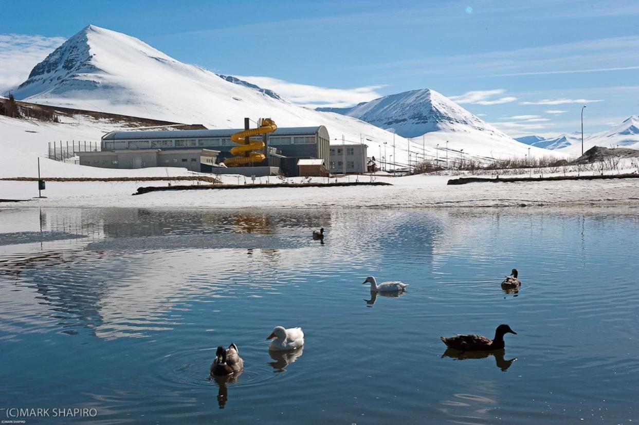The Northern Comfort Inn Olafsfjordur Kültér fotó